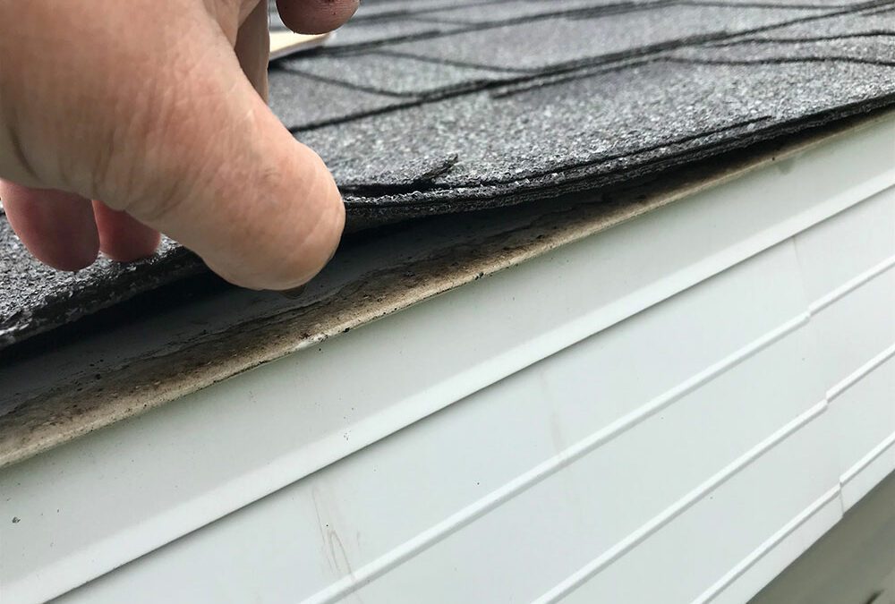 What condition is your roof in? The weather is wonderful this week but don’t forget that your roof needs to stand up to Old Man Winter! Call the Roof Kings for a free estimate today.
