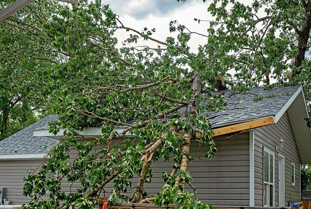 Storm damaged roofs have been an unfortunate reality with this summer’s active storm season. Ensuring that your home’s roof is structurally sound is our most top priority. Know that you can count on The Roof Kings for your roofing repair needs.