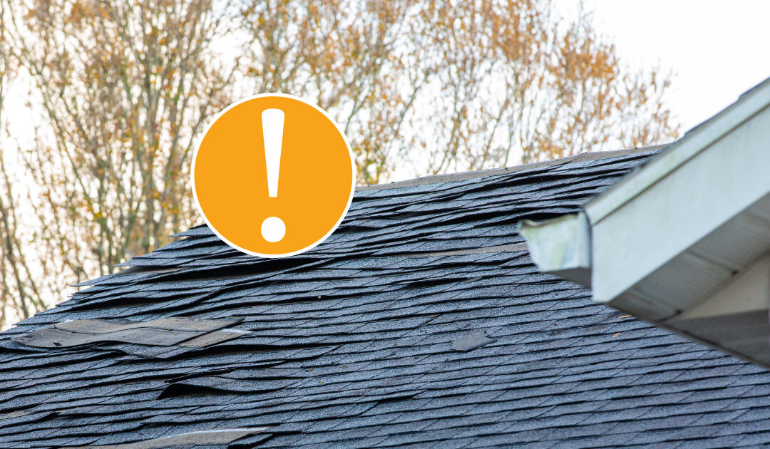 What is the current condition of your roof? The spring weather may be on our doorstep but don’t forget that your roof may have incurred damage over the winter months. To find out and receive a free estimate on roof installation or repairs, call the Roof Kings at (855) 210-7663 or visit theroofkings.com.