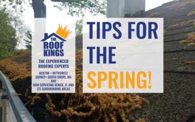With the pollen flying once again, the Roof Kings would like to remind you that keeping your roof and gutters clean is always important, any time of year.