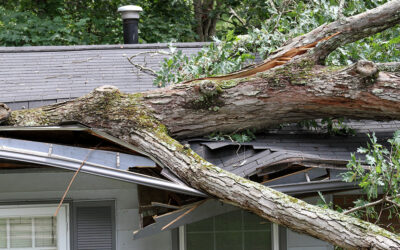 We hope this finds you safe after the recent wind and rain storm that swept through the Boston area and beyond. If your roof suffered damage and needs immediate attention, The Roof Kings is here to help.